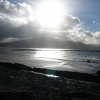 dingle_20080824_1909433821