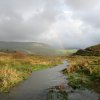 dingle_20080824_2037498878