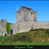zuid-west_ierland_20080824_1668110874