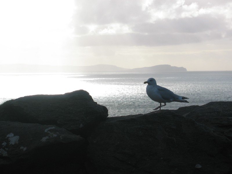 dingle_20080824_1249458130