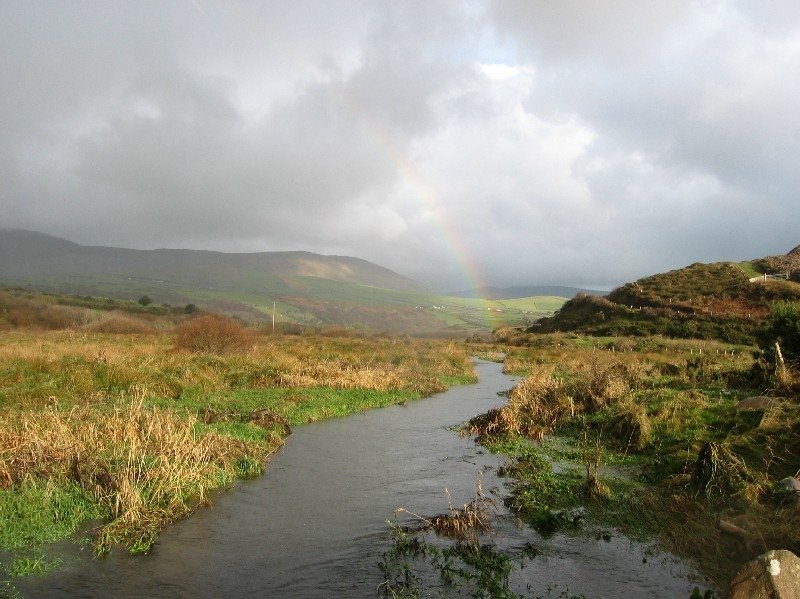 dingle_20080824_2037498878